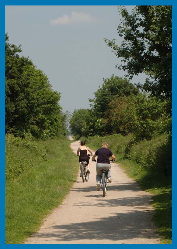 Borders Greenway Support