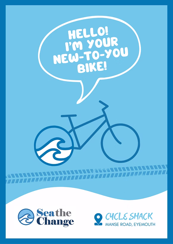 new to you bikes